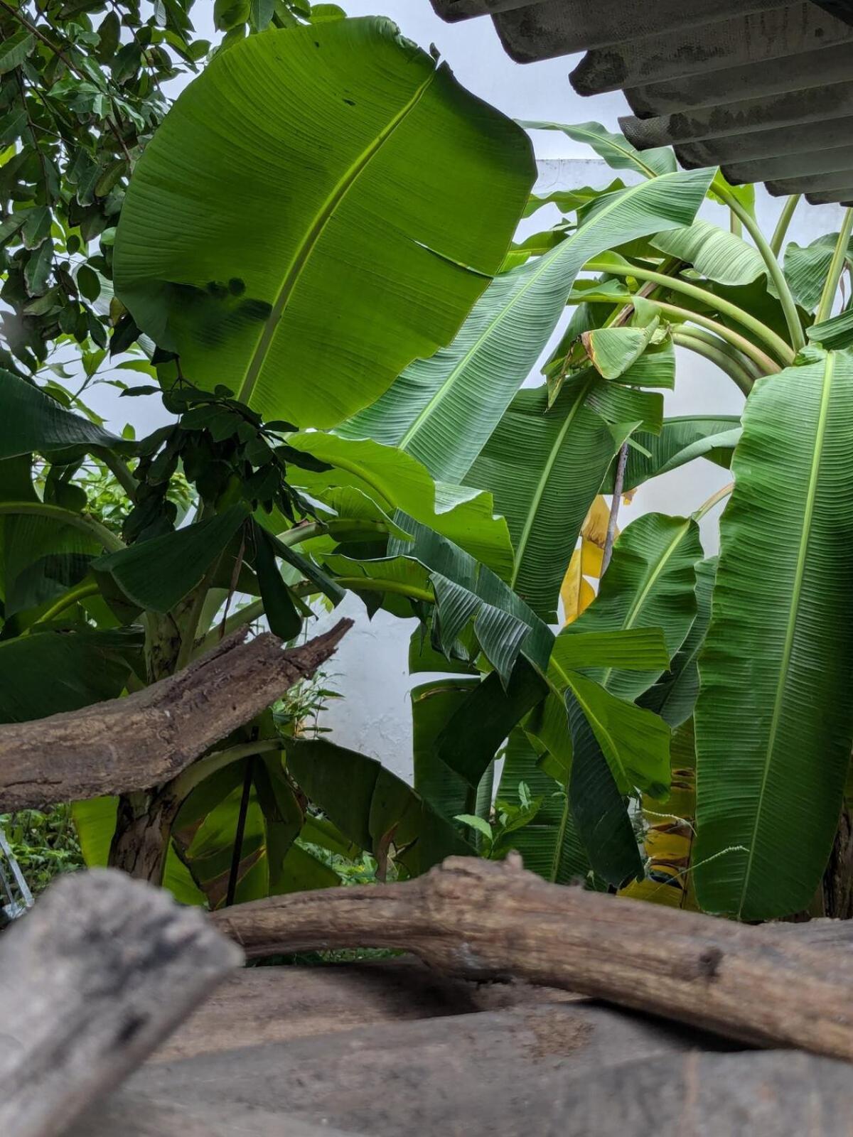 Apartment Me Quedo Aqui, Casa Cerca Del Aeropuerto De Cartagena! Cartagena