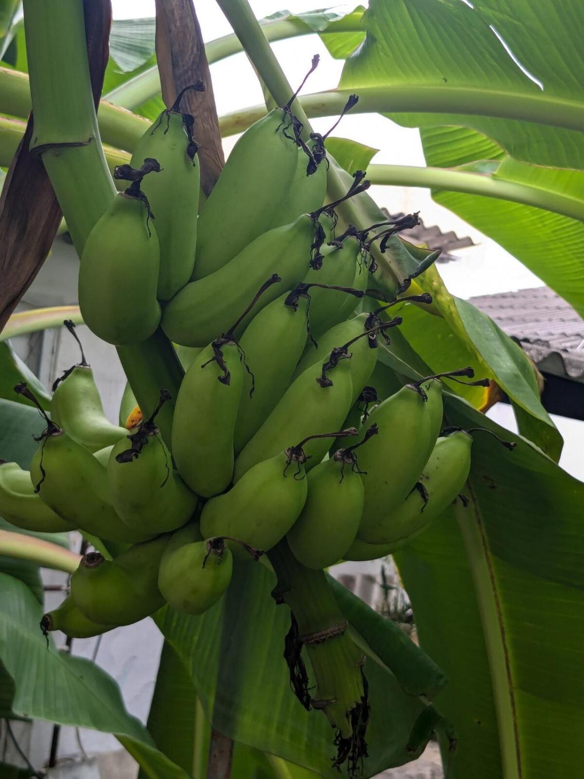Me Quedo Aqui, Casa Cerca Del Aeropuerto De Cartagena! Apartment *