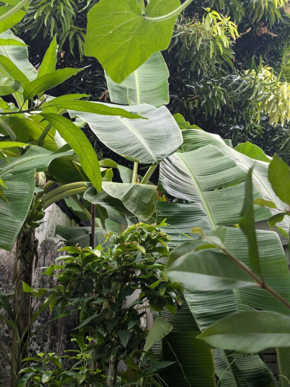 Apartment Me Quedo Aqui, Casa Cerca Del Aeropuerto De Cartagena! *